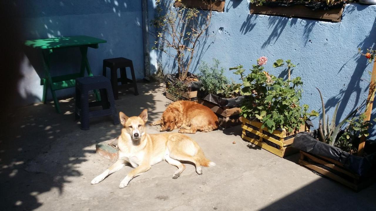 Casa Encuentro Hotell Quetzaltenango Exteriör bild